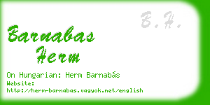 barnabas herm business card